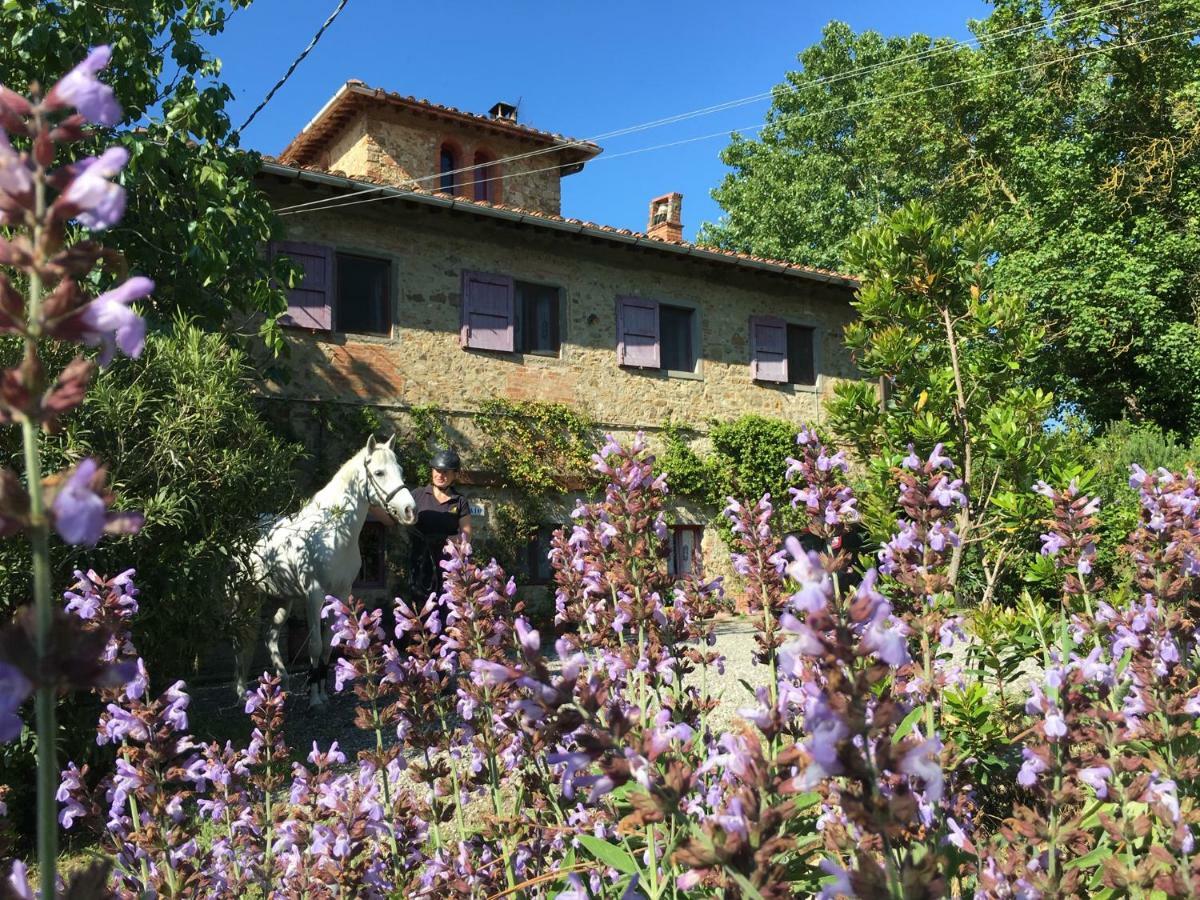 Farmhouse B&B Il Paretaio Barberino Val d'Elsa Luaran gambar