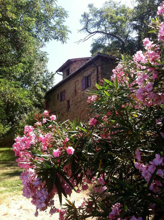 Farmhouse B&B Il Paretaio Barberino Val d'Elsa Luaran gambar